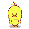 pollo